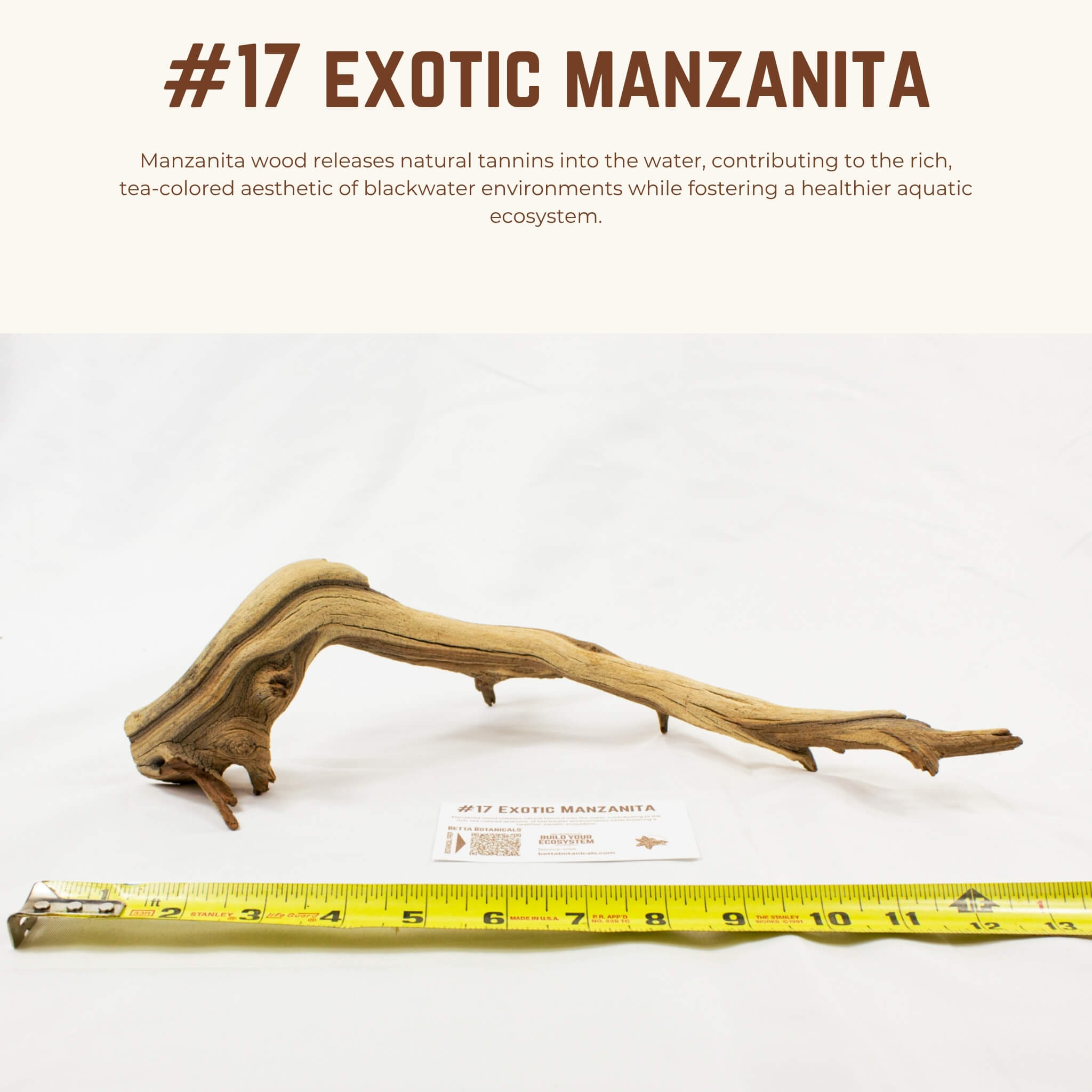 Exotic Manzanita | WYSIWYG Pieces