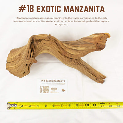 Exotic Manzanita | WYSIWYG Pieces