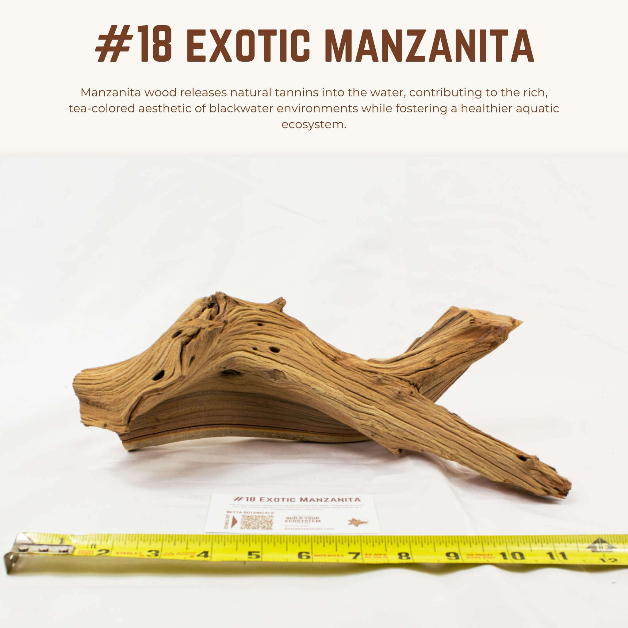 Exotic Manzanita | WYSIWYG Pieces