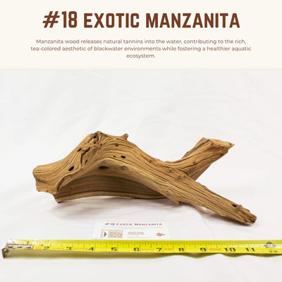 Exotic Manzanita | WYSIWYG Pieces