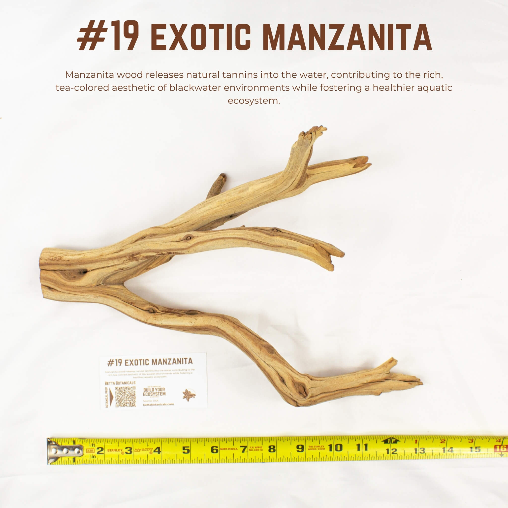 Exotic Manzanita | WYSIWYG Pieces