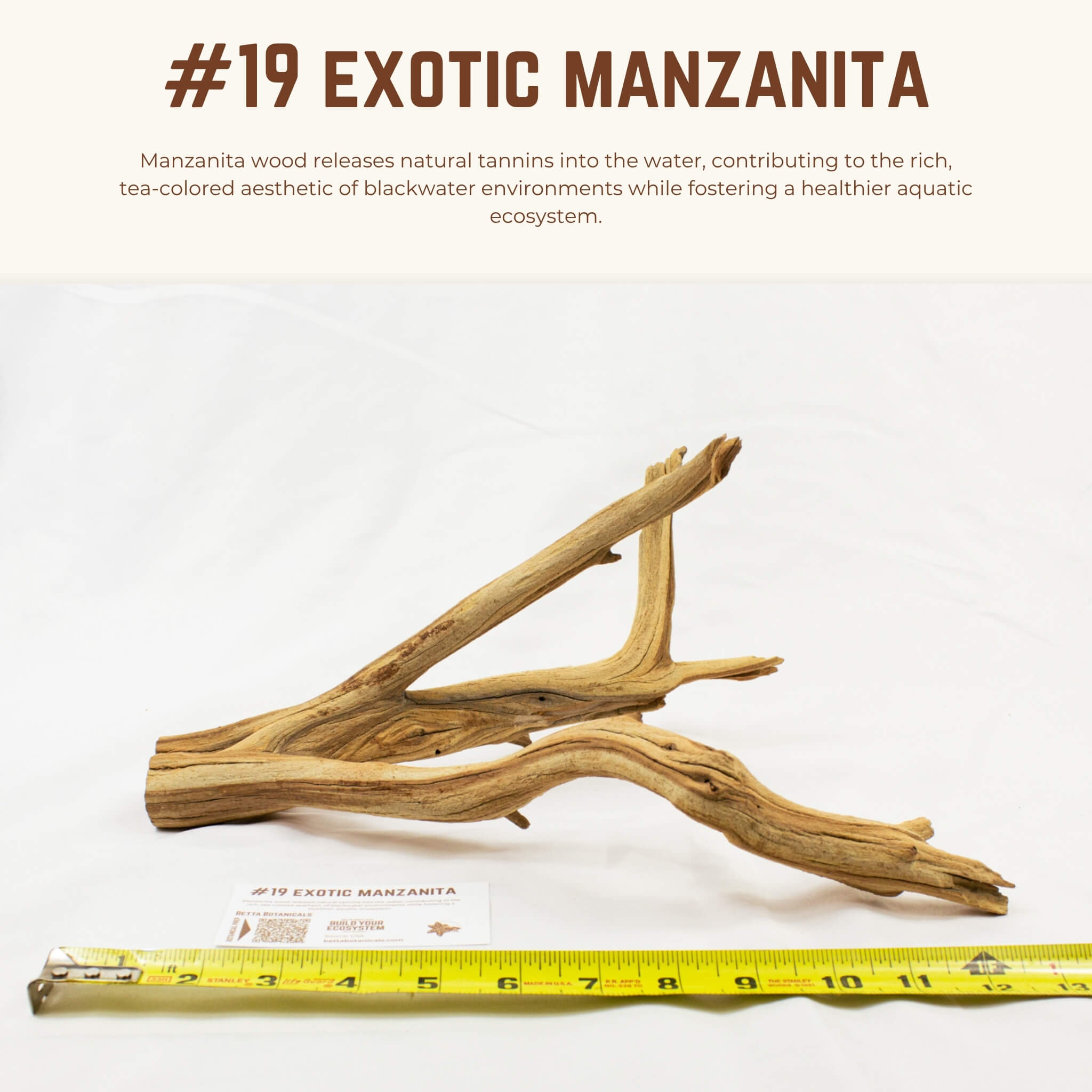 Exotic Manzanita | WYSIWYG Pieces