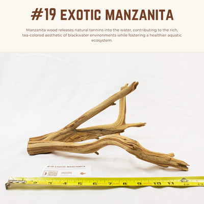 Exotic Manzanita | WYSIWYG Pieces