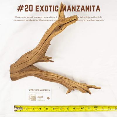 Exotic Manzanita | WYSIWYG Pieces