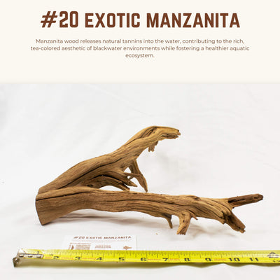 Exotic Manzanita | WYSIWYG Pieces