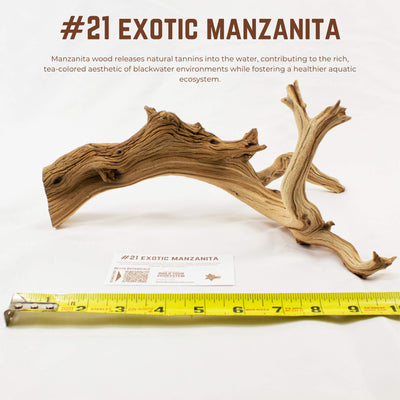 Exotic Manzanita | WYSIWYG Pieces