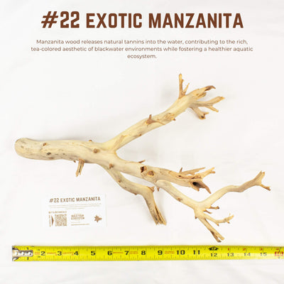 Exotic Manzanita | WYSIWYG Pieces