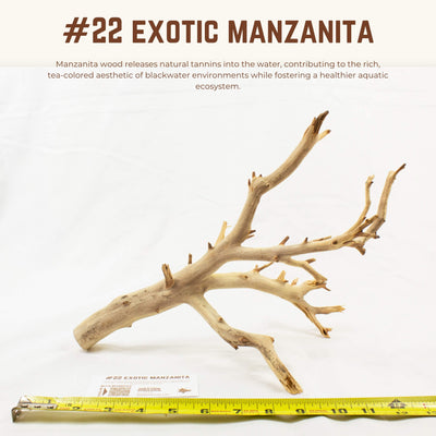 Exotic Manzanita | WYSIWYG Pieces