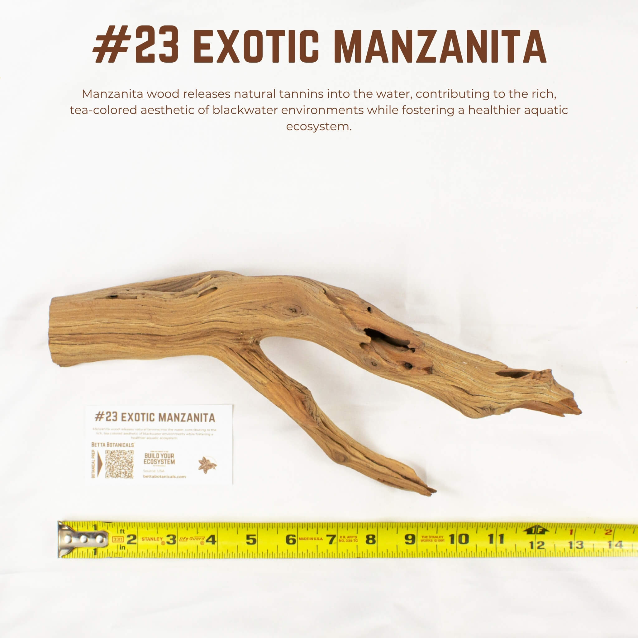 Exotic Manzanita | WYSIWYG Pieces