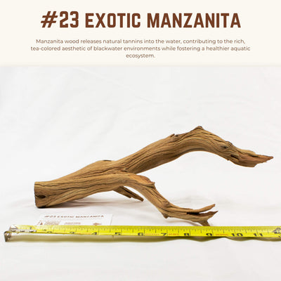 Exotic Manzanita | WYSIWYG Pieces