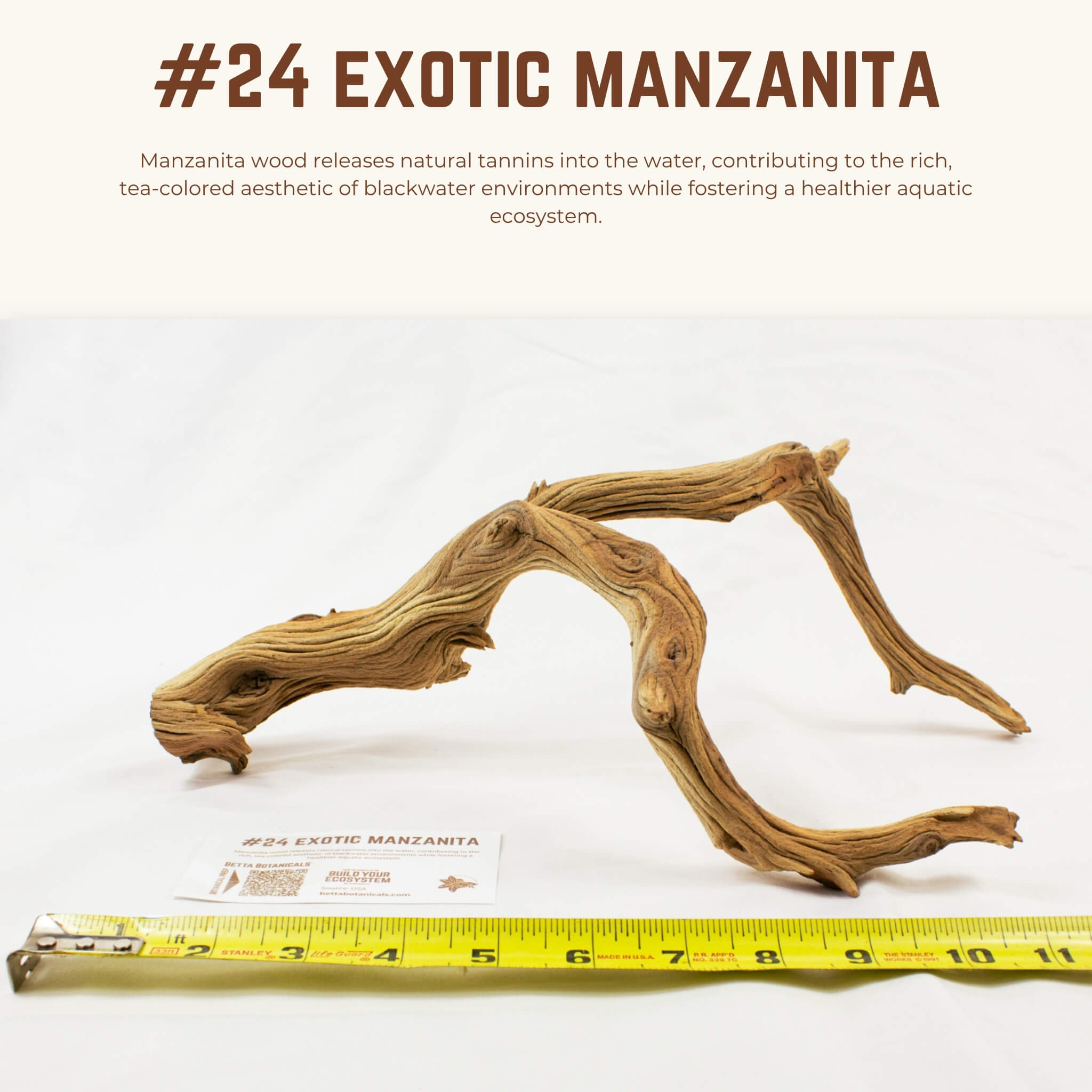 Exotic Manzanita | WYSIWYG Pieces