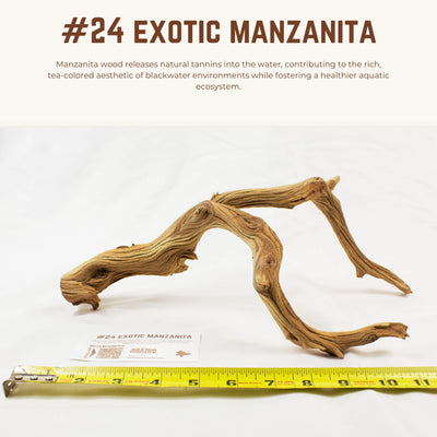 Exotic Manzanita | WYSIWYG Pieces