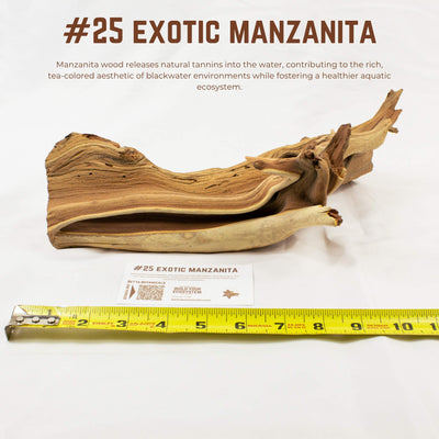 Exotic Manzanita | WYSIWYG Pieces