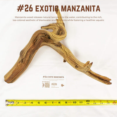 Exotic Manzanita | WYSIWYG Pieces