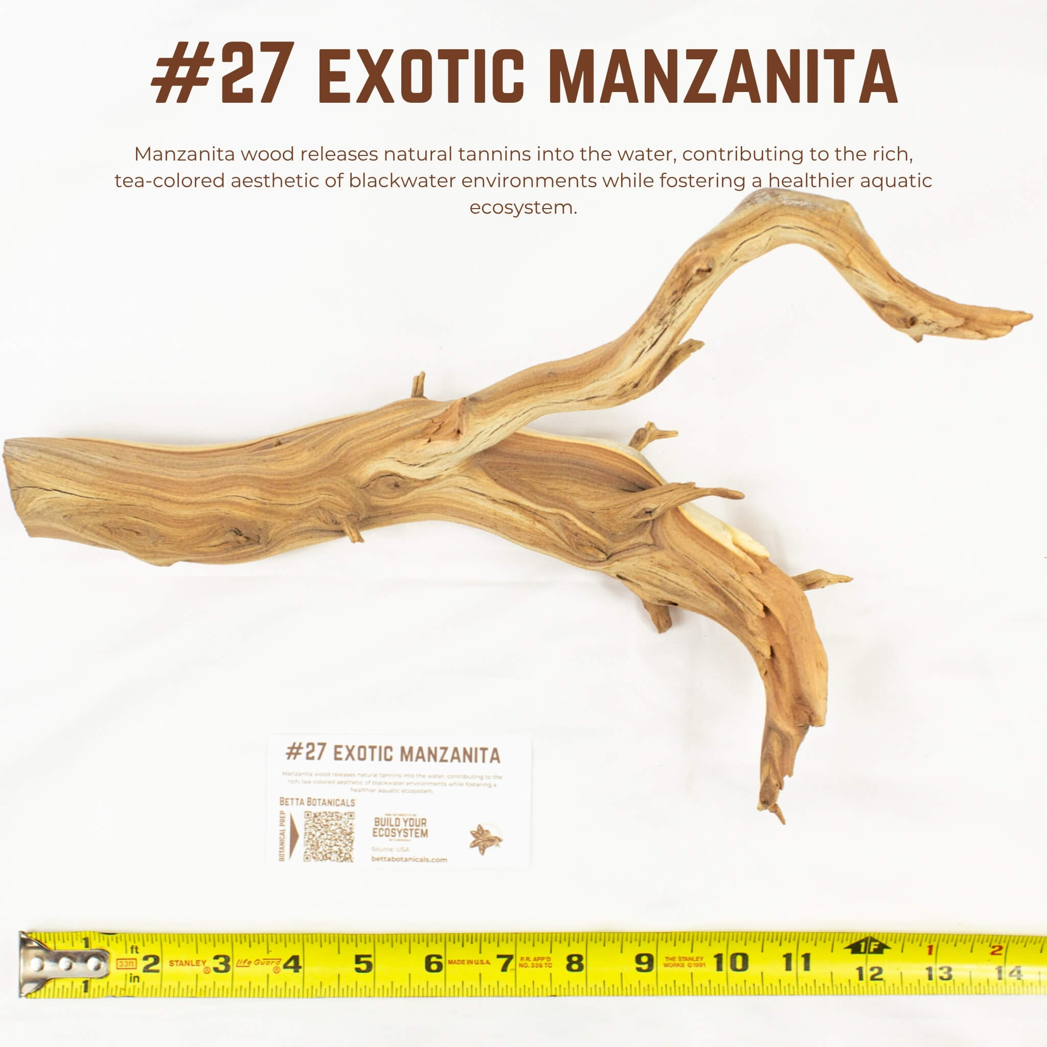 Exotic Manzanita | WYSIWYG Pieces