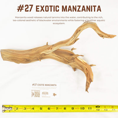Exotic Manzanita | WYSIWYG Pieces