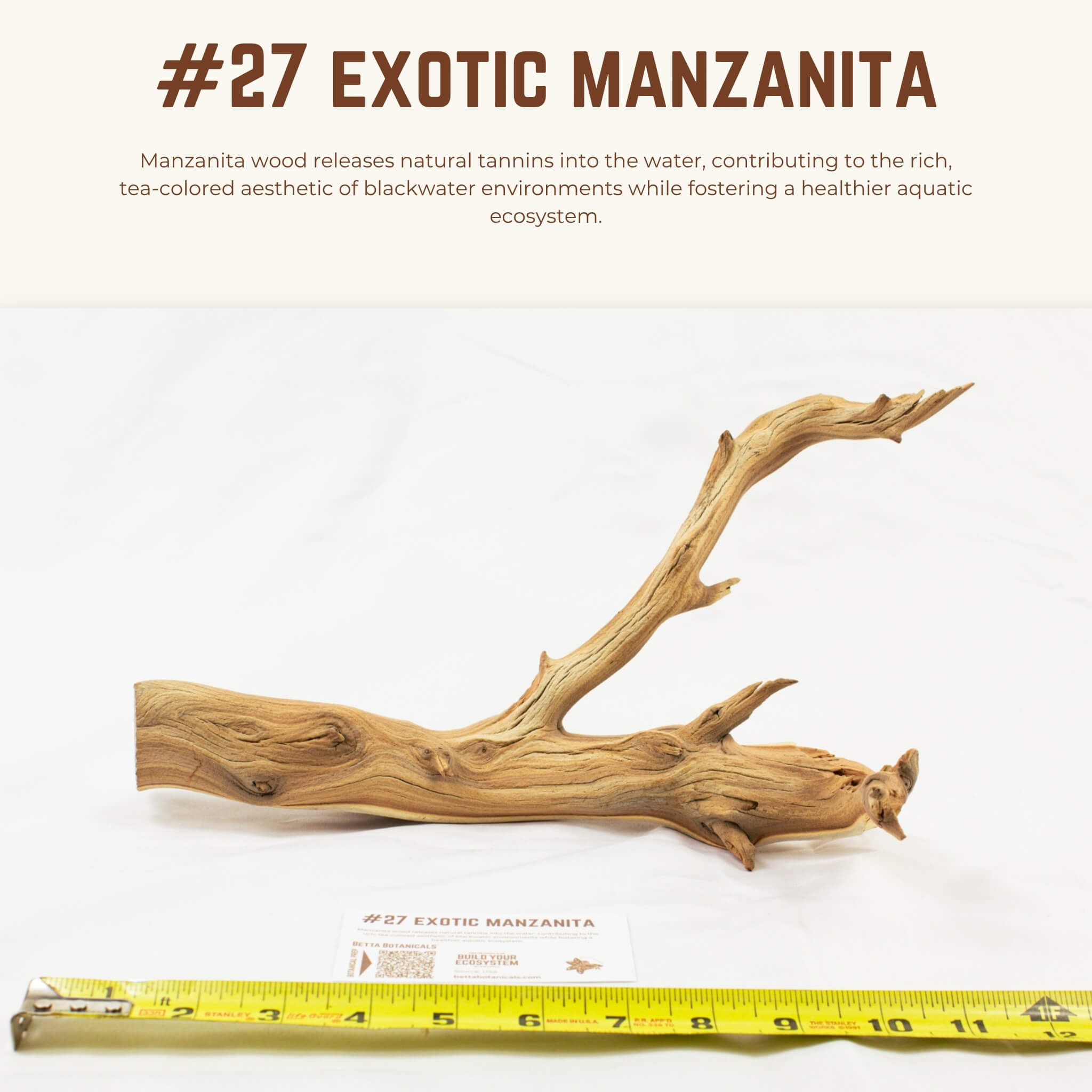 Exotic Manzanita | WYSIWYG Pieces
