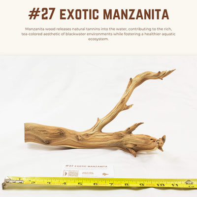 Exotic Manzanita | WYSIWYG Pieces