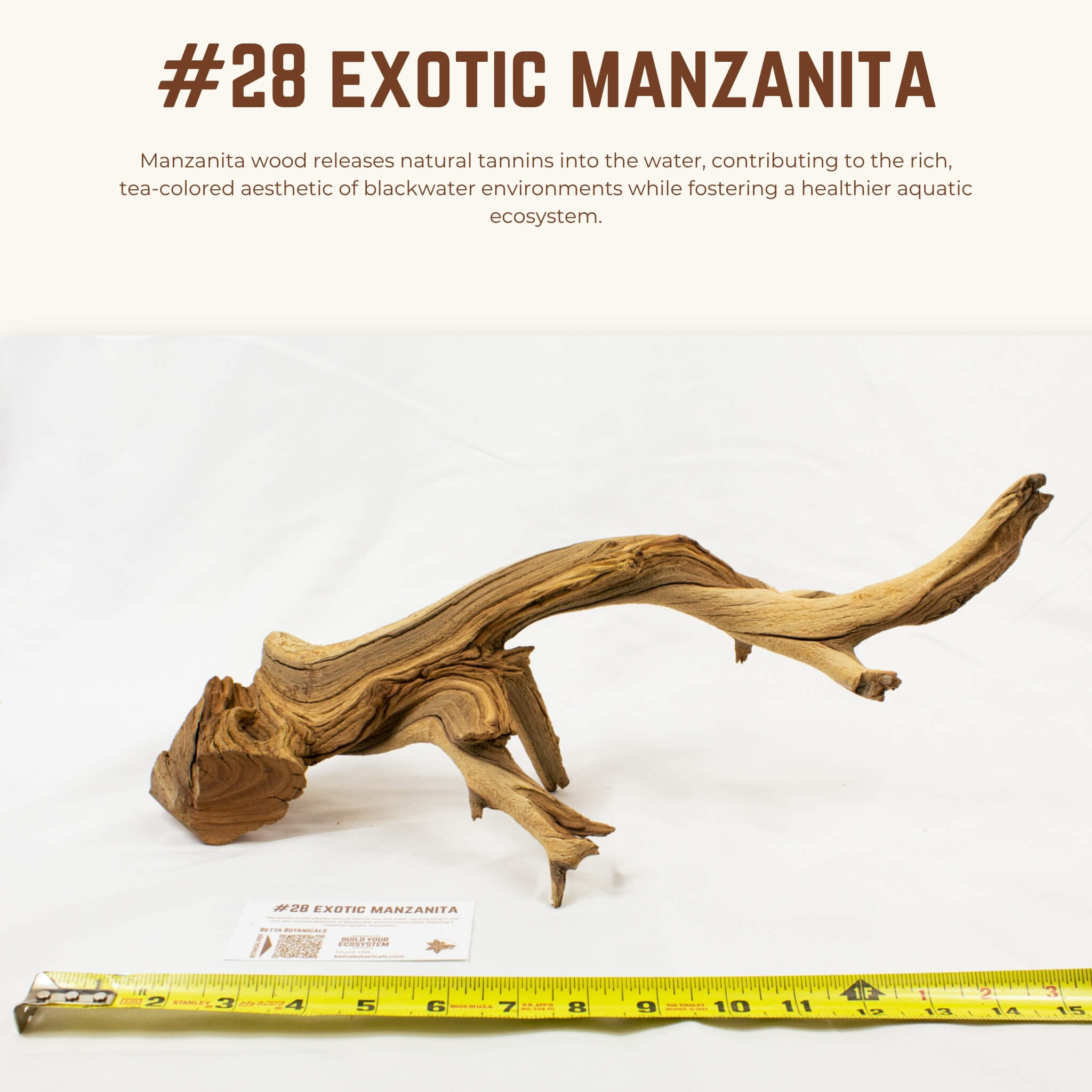 Exotic Manzanita | WYSIWYG Pieces