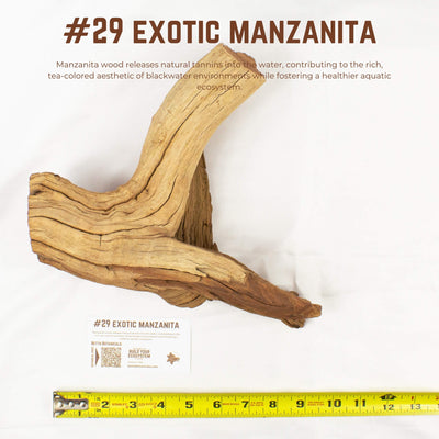 Exotic Manzanita | WYSIWYG Pieces