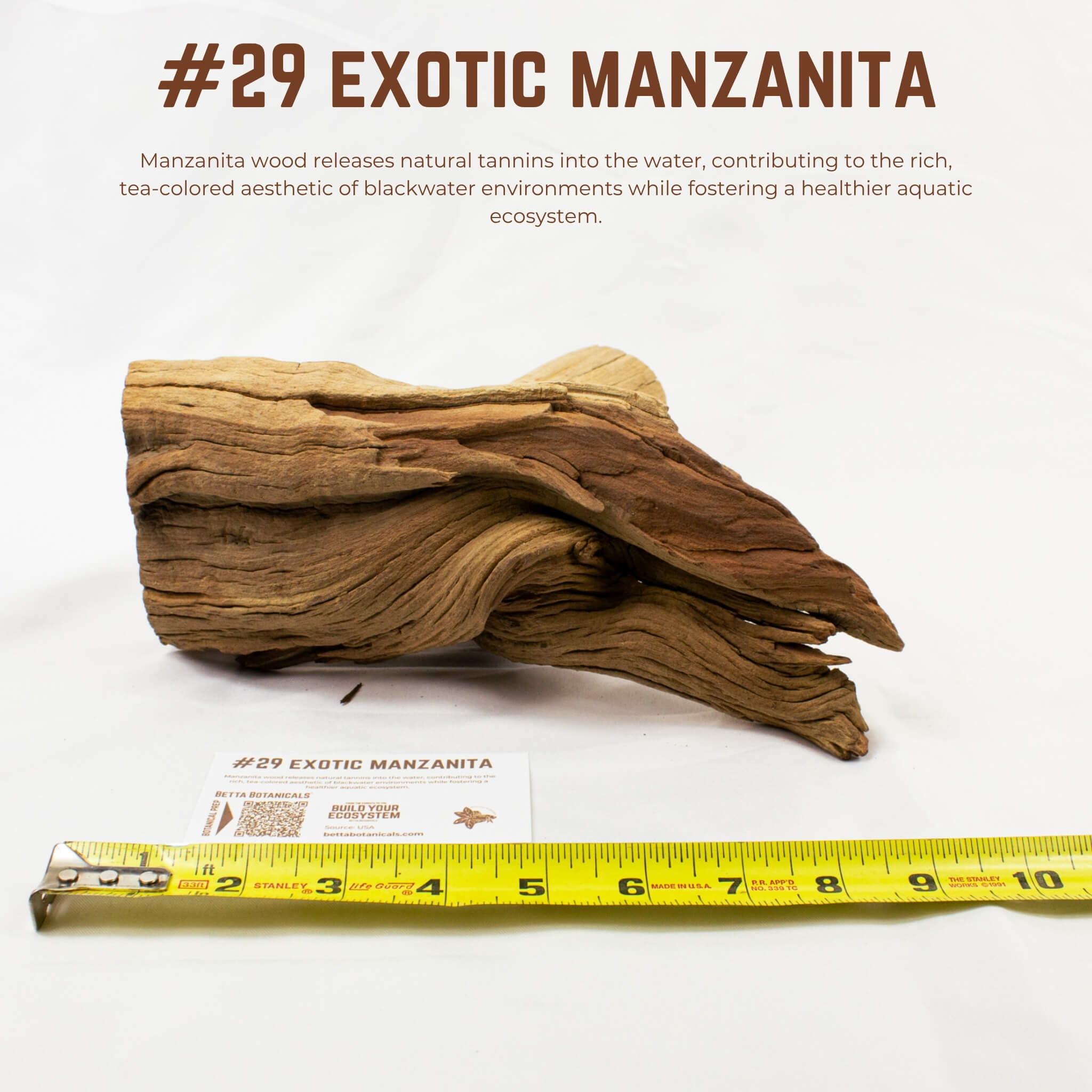 Exotic Manzanita | WYSIWYG Pieces