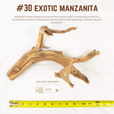 Exotic Manzanita | WYSIWYG Pieces