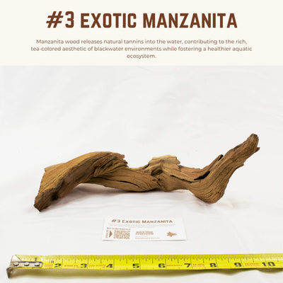 Exotic Manzanita | WYSIWYG Pieces