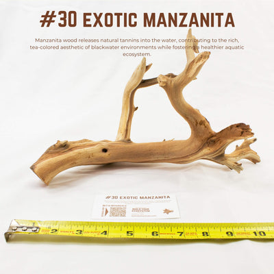 Exotic Manzanita | WYSIWYG Pieces