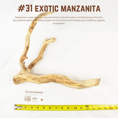 Exotic Manzanita | WYSIWYG Pieces
