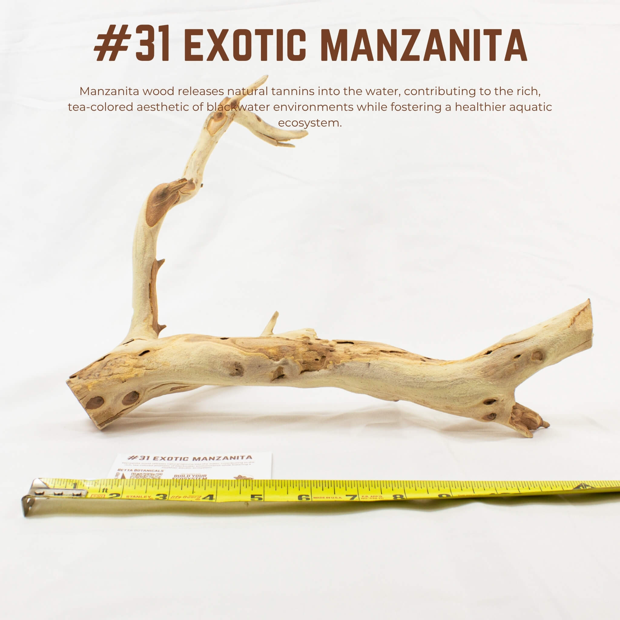 Exotic Manzanita | WYSIWYG Pieces
