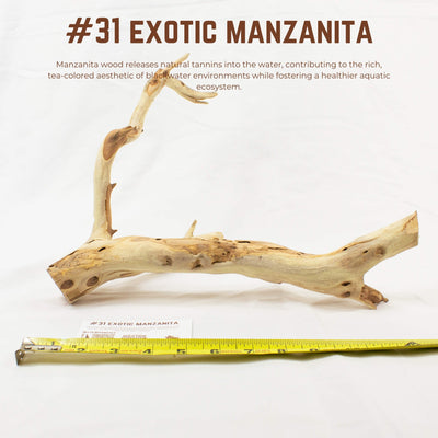 Exotic Manzanita | WYSIWYG Pieces