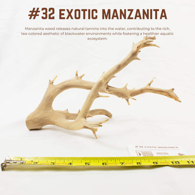 Exotic Manzanita | WYSIWYG Pieces