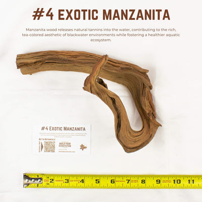 Exotic Manzanita | WYSIWYG Pieces