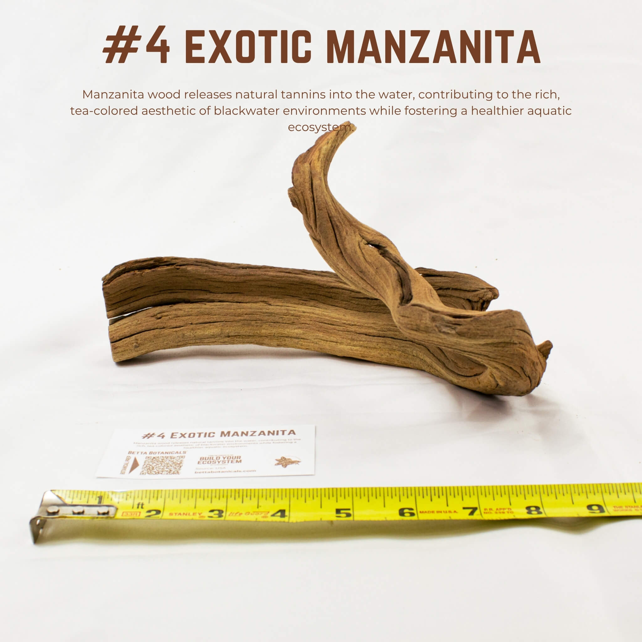 Exotic Manzanita | WYSIWYG Pieces