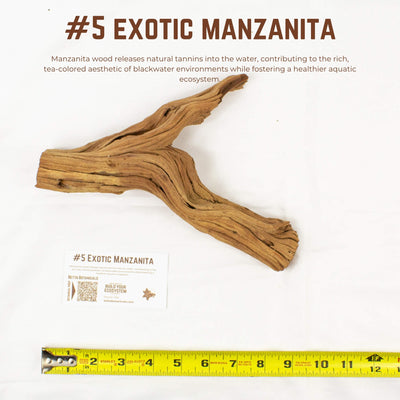 Exotic Manzanita | WYSIWYG Pieces