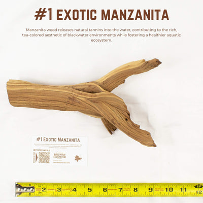 Exotic Manzanita | WYSIWYG Pieces