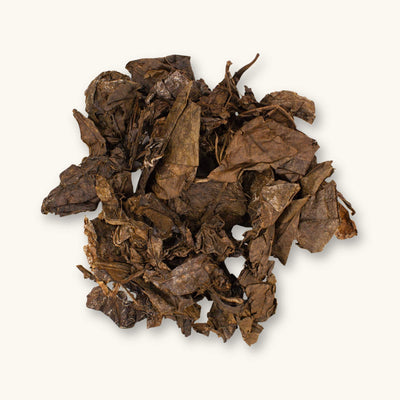 A group of dark brown fermented Indian almond leaves (Terminalia catappa) for blackwater aquariums, photographed on a natural background at Betta Botanicals.