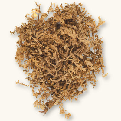 A pile of tan-brown fern fronds (Pteridium sp.) for biotope aquariums, photographed on a natural background at Betta Botanicals.