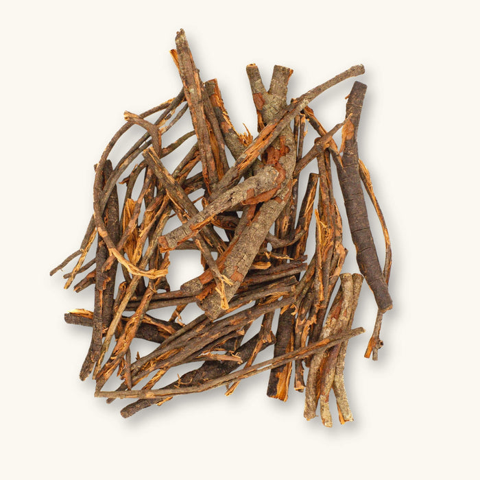 A pile of fibrous brown Kiriwel Bark (Ichnocarpus frutescens) pieces for biotope aquariums, photographed on a natural background at Betta Botanicals.