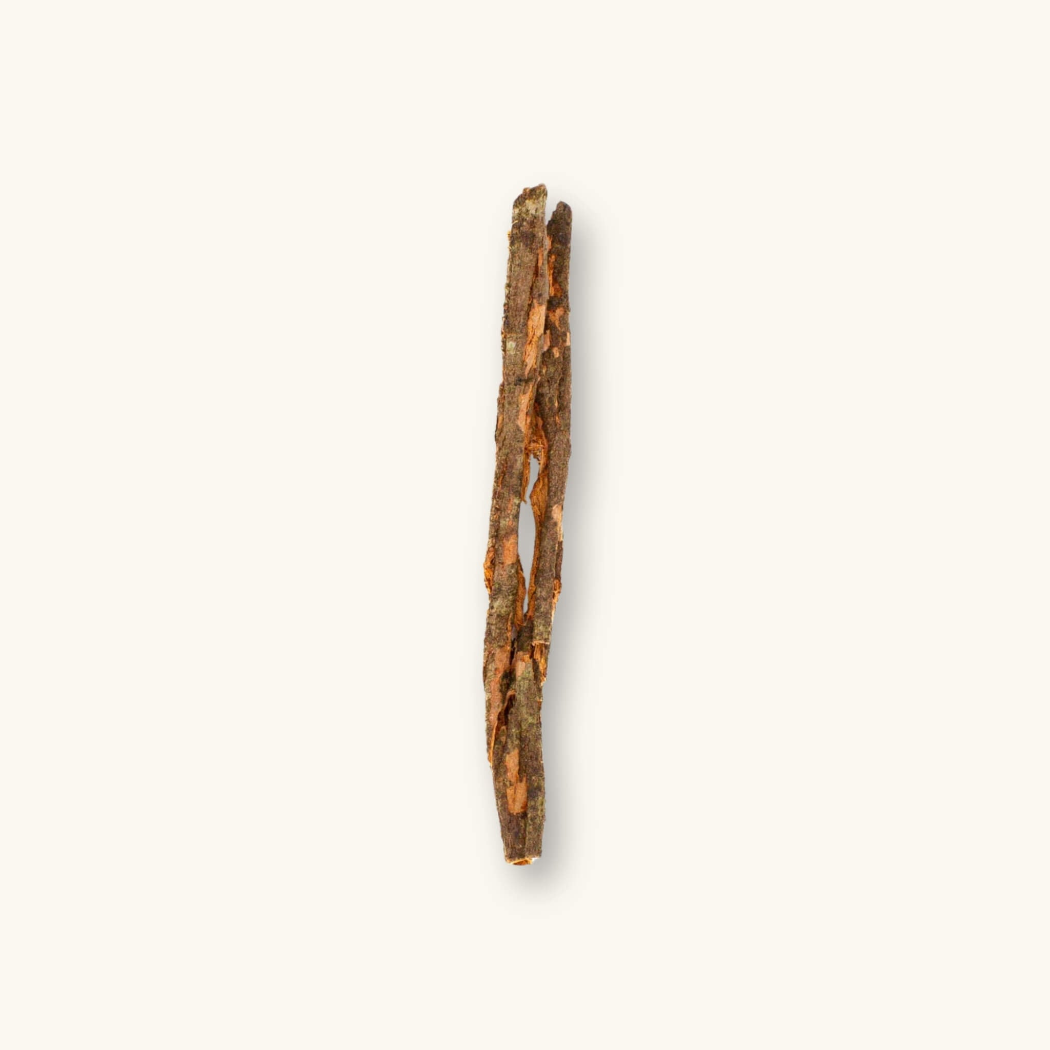 A single brown Kiriwel Bark (Ichnocarpus frutescens) stick for blackwater aquariums, photographed on a natural background at Betta Botanicals