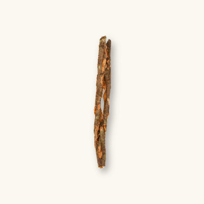 A single brown Kiriwel Bark (Ichnocarpus frutescens) stick for blackwater aquariums, photographed on a natural background at Betta Botanicals