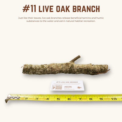 Live Oak Branches | WYSIWYG Pieces