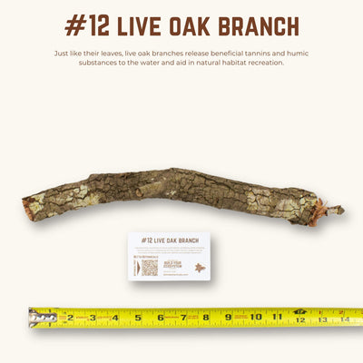 Live Oak Branches | WYSIWYG Pieces
