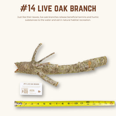 Live Oak Branches | WYSIWYG Pieces