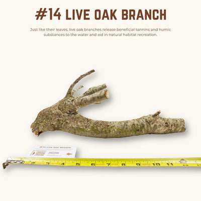 Live Oak Branches | WYSIWYG Pieces