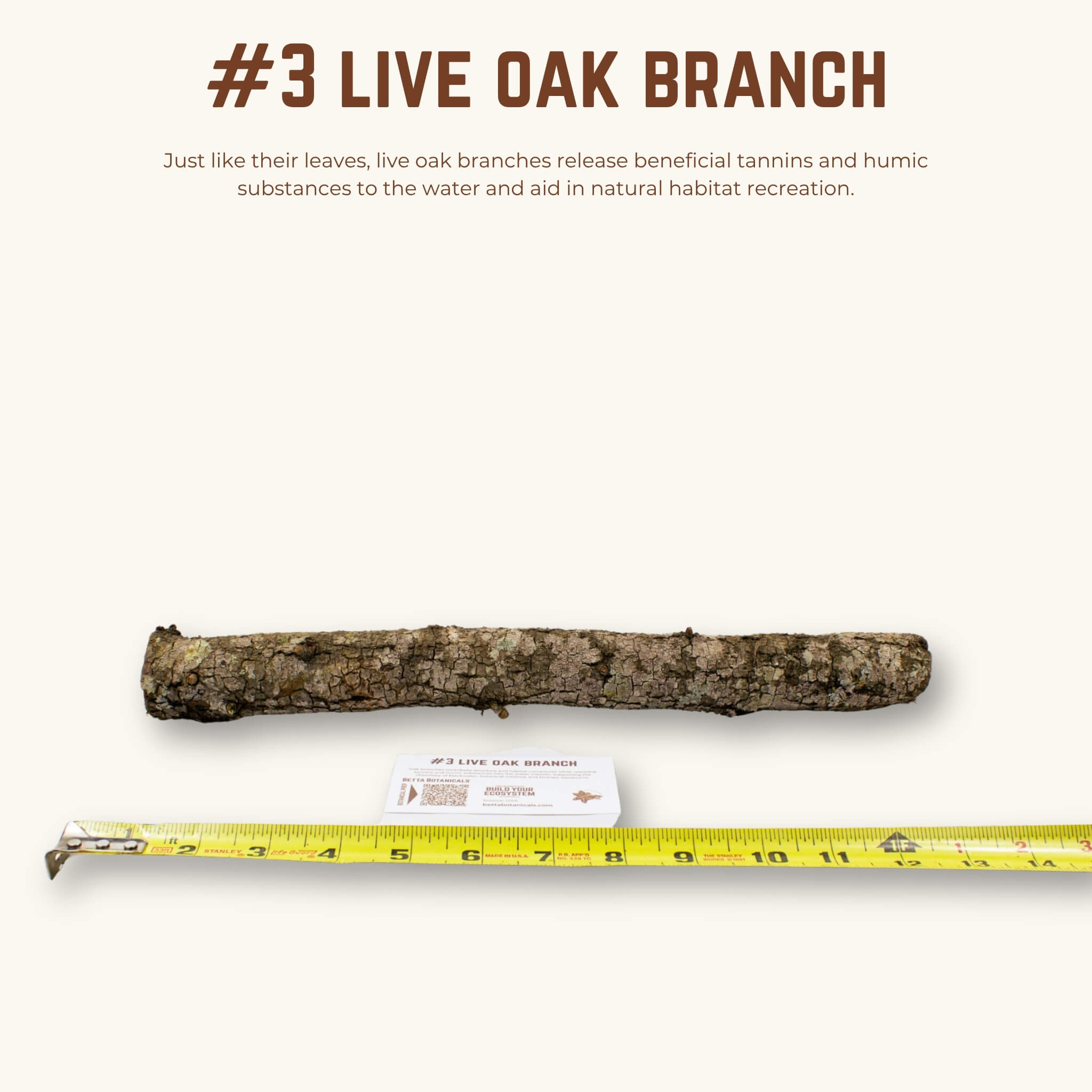 Live Oak Branches | WYSIWYG Pieces