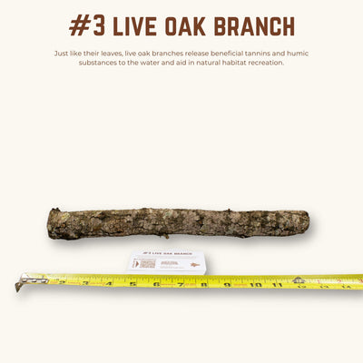 Live Oak Branches | WYSIWYG Pieces