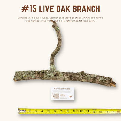 Live Oak Branches | WYSIWYG Pieces