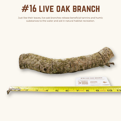 Live Oak Branches | WYSIWYG Pieces