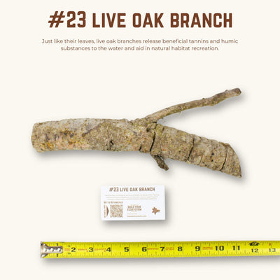 Live Oak Branches | WYSIWYG Pieces